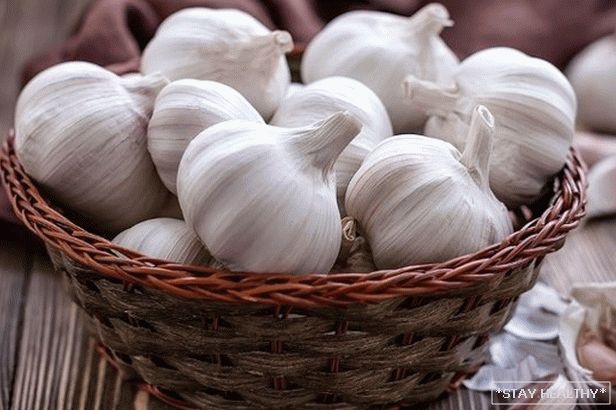 Даарысныя ўласцівасці часныку ў працэсе пахудання