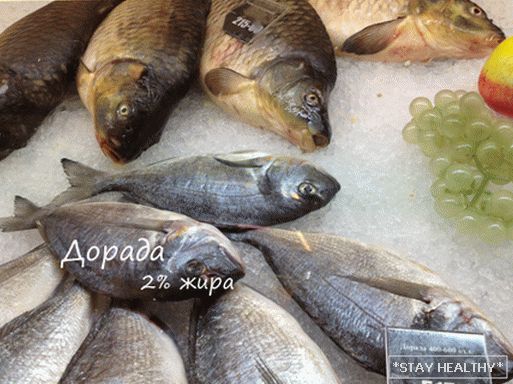 Жірность рыбы Дорадо