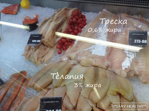 Пра каларыйнасць рыбы - якую рыбу выбраць длядыеты