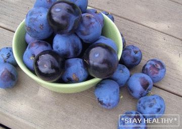 slivy-dlya-pohudeniya-diety-otzyvy-rekomendatsii