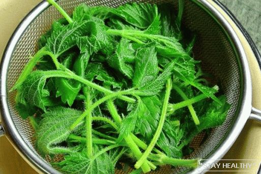 _DSC1064_3000x2008_1